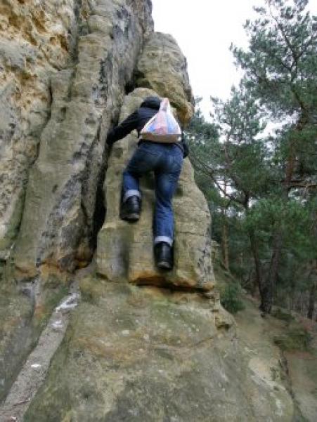 3432432 fdgfdgdfggdfgdfgdfgfdg









